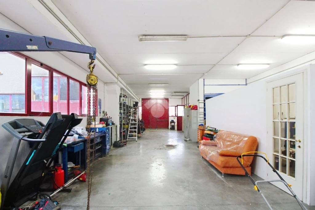 immagine annuncio 1 di 15