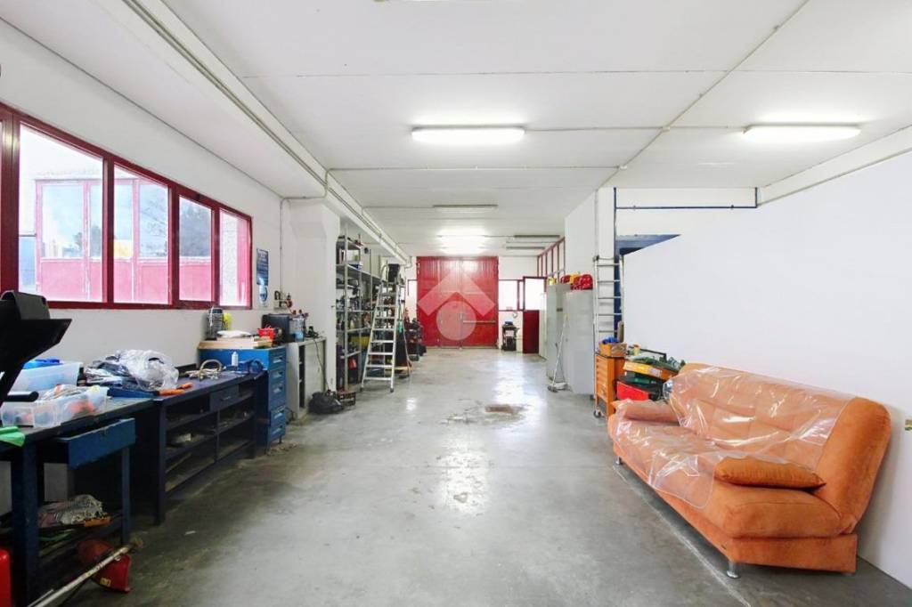 immagine annuncio 7 di 15