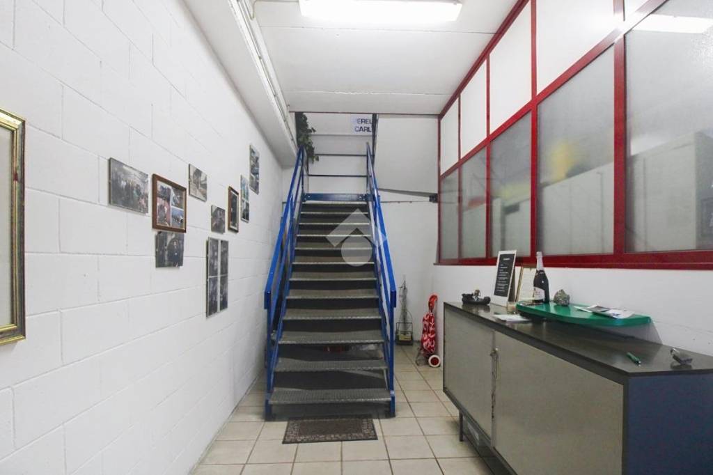 immagine annuncio 9 di 15