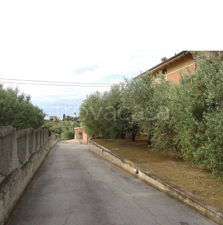 immagine annuncio 2 di 14