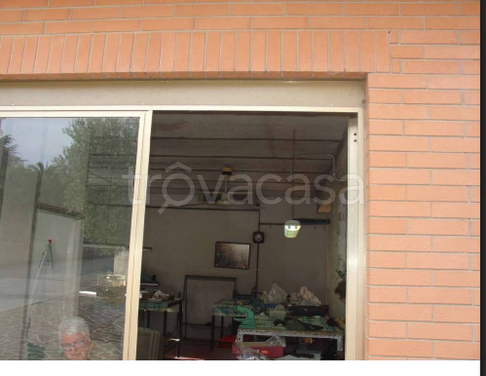 immagine annuncio 9 di 14