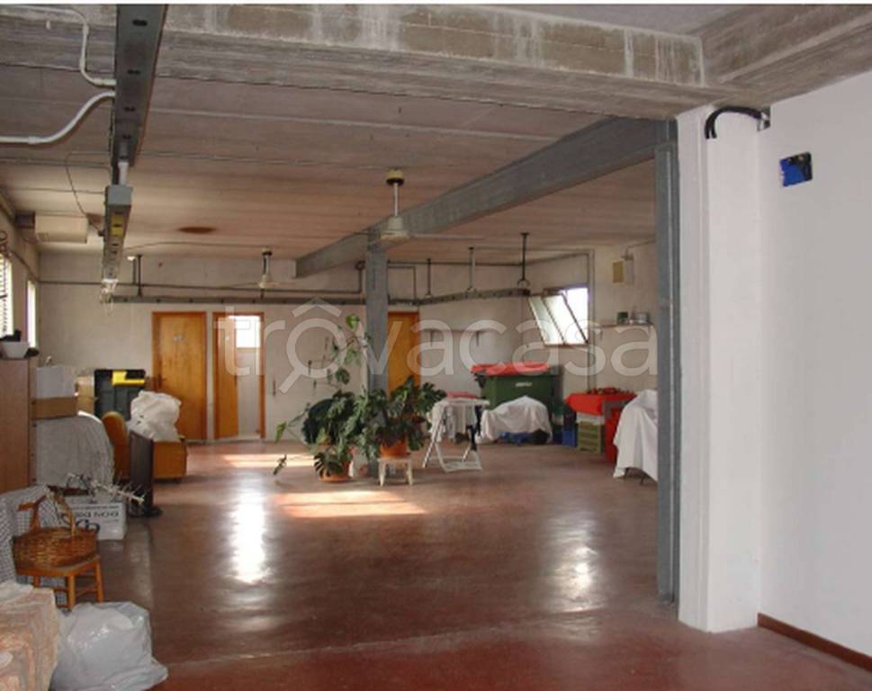 immagine annuncio 11 di 14