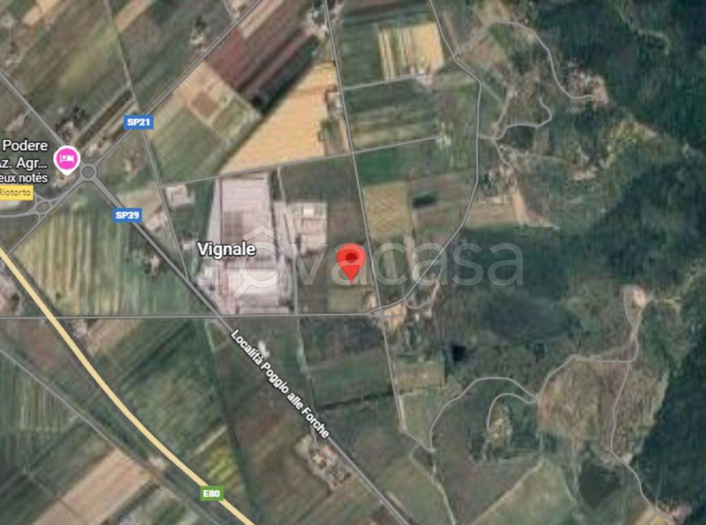 immagine annuncio 8 di 13