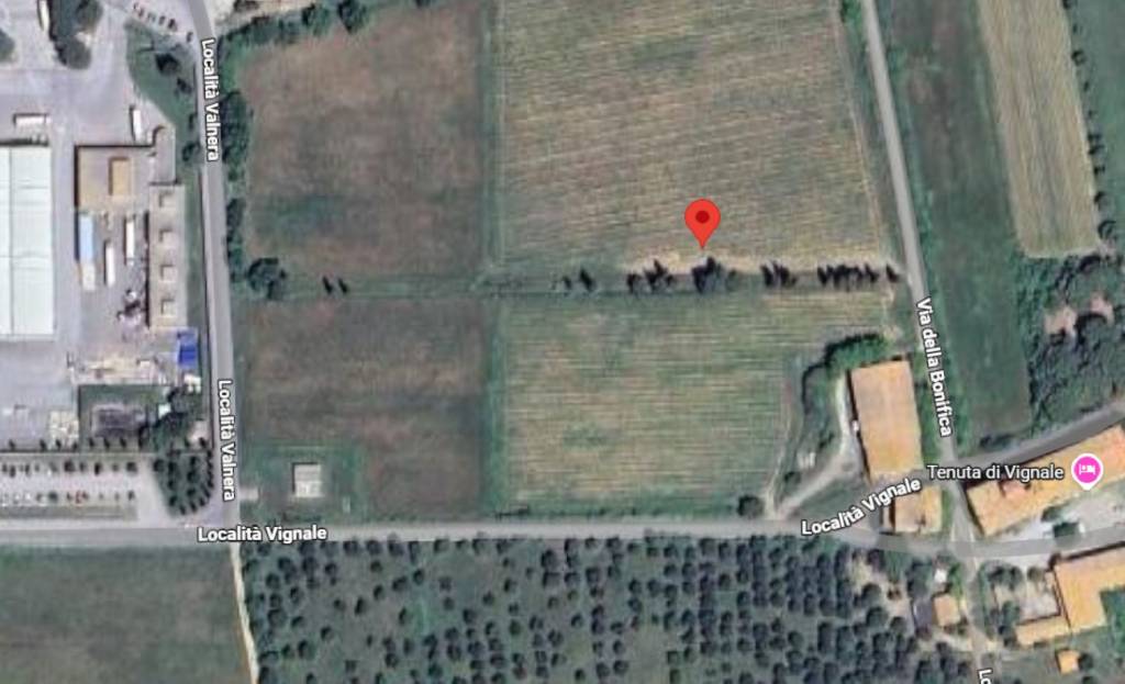 immagine annuncio 10 di 13