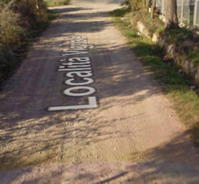 immagine annuncio 11 di 13