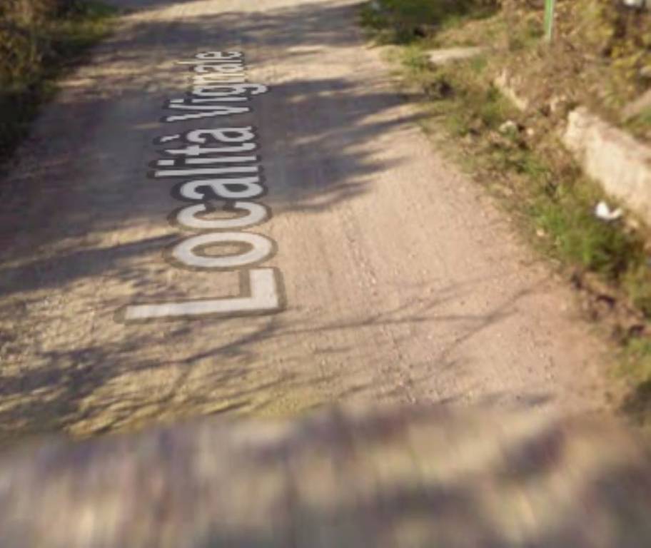 immagine annuncio 12 di 13