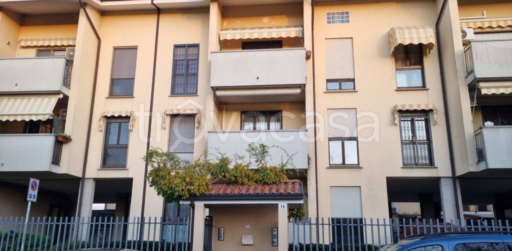 immagine annuncio 1 di 15