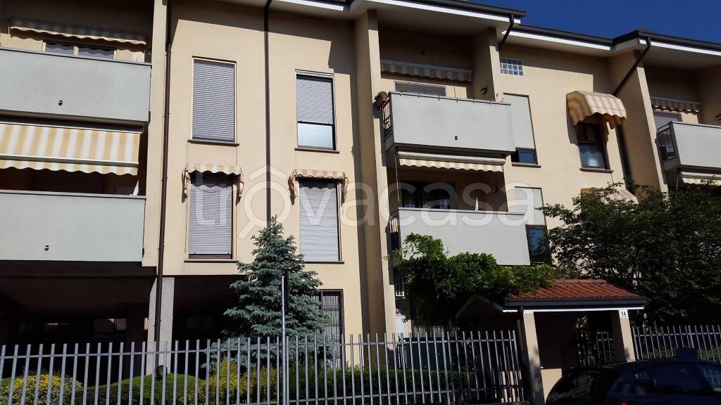 immagine annuncio 2 di 15