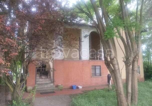 immagine annuncio 6 di 9