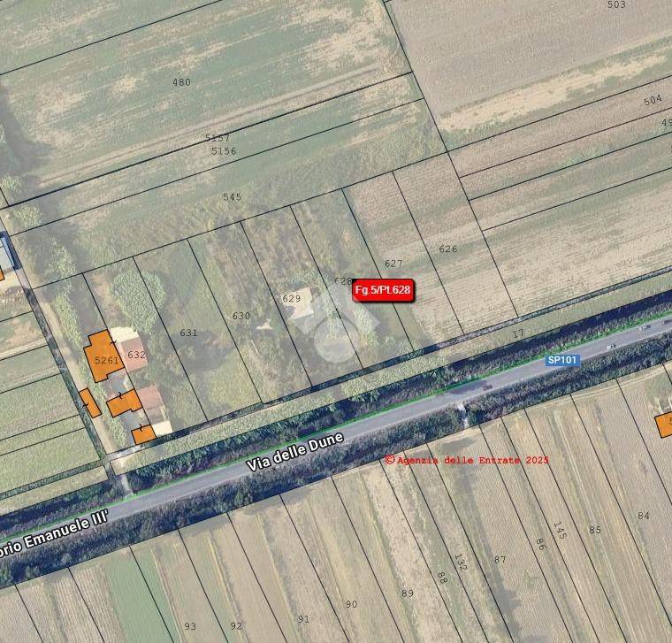 immagine annuncio 4 di 12