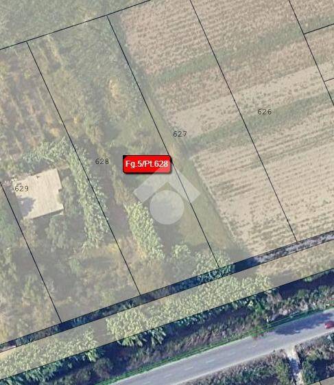 immagine annuncio 5 di 12