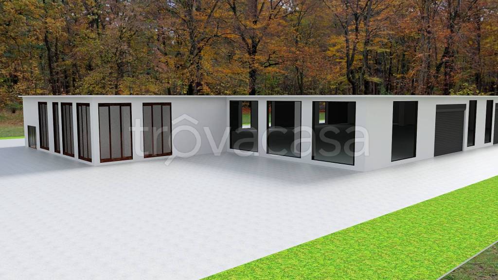 immagine annuncio 2 di 11