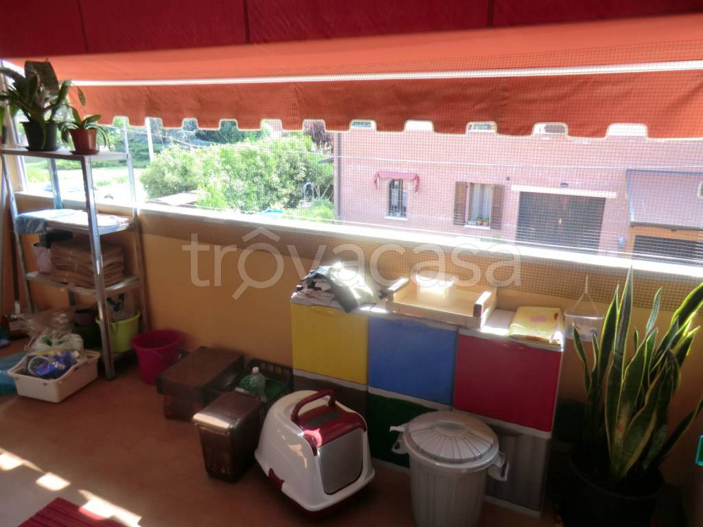 immagine annuncio 8 di 15