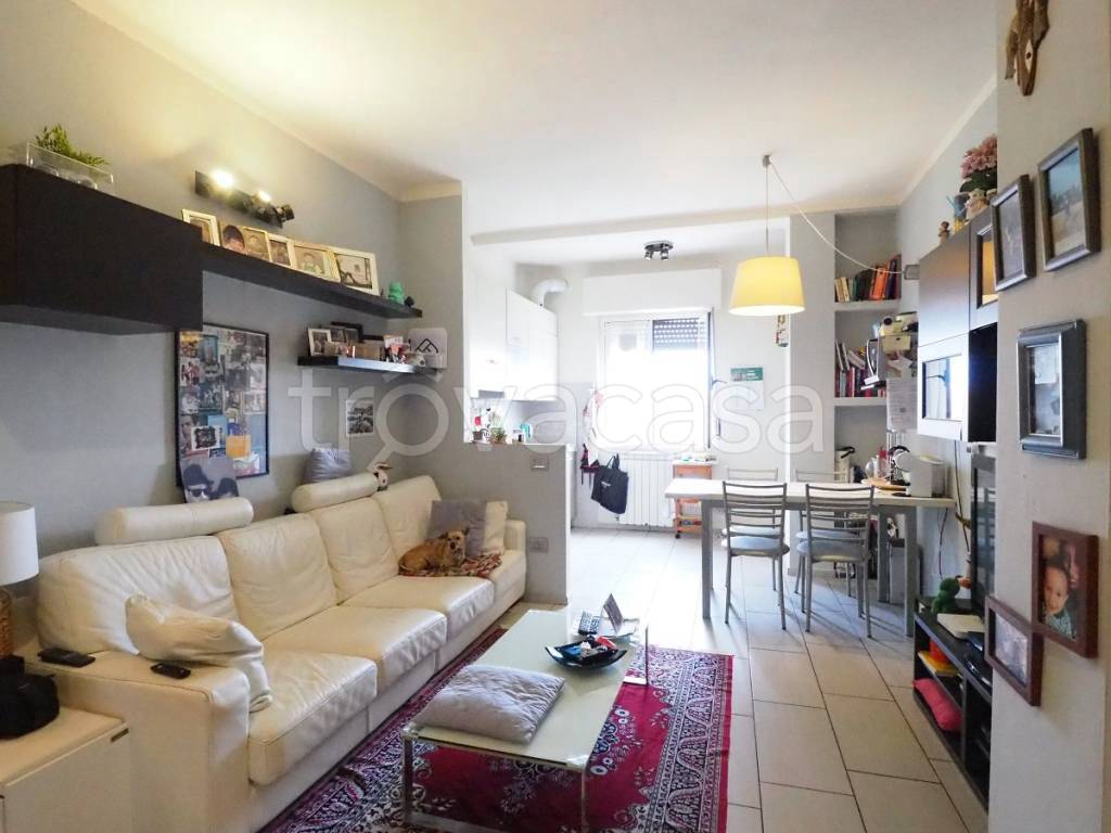 immagine annuncio 4 di 15