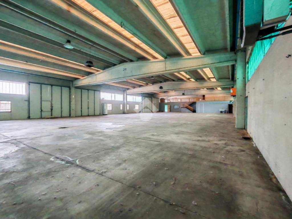 immagine annuncio 2 di 15