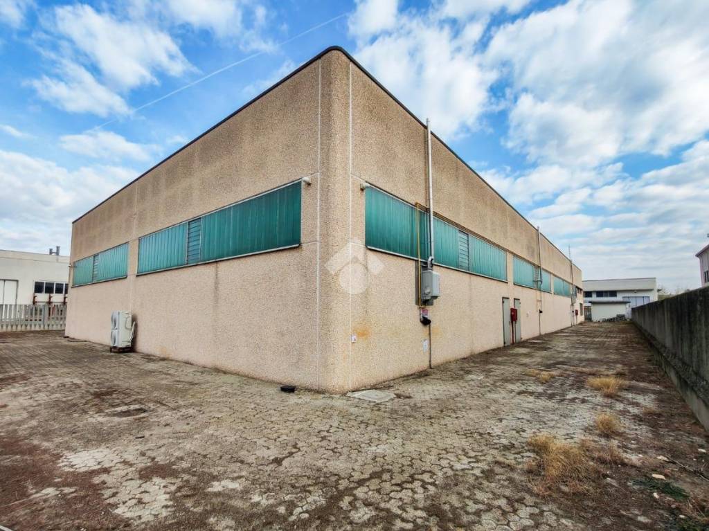 immagine annuncio 5 di 15