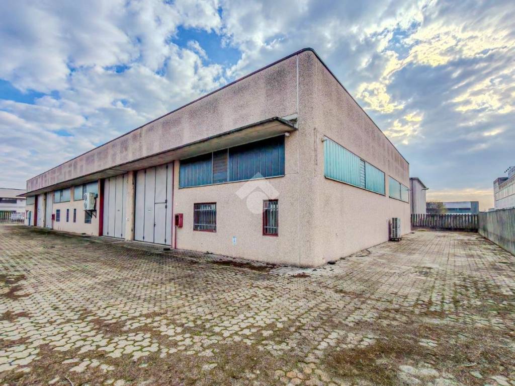 immagine annuncio 6 di 15