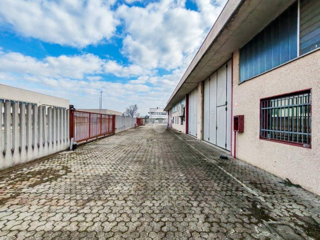 immagine annuncio 10 di 15