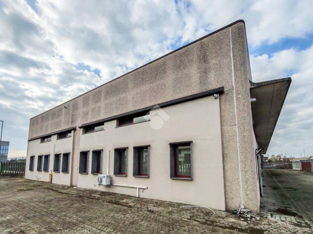 immagine annuncio 11 di 15