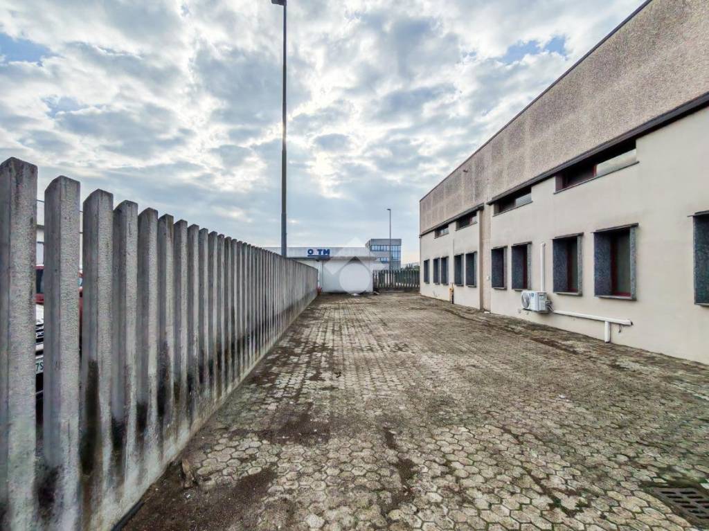 immagine annuncio 12 di 15