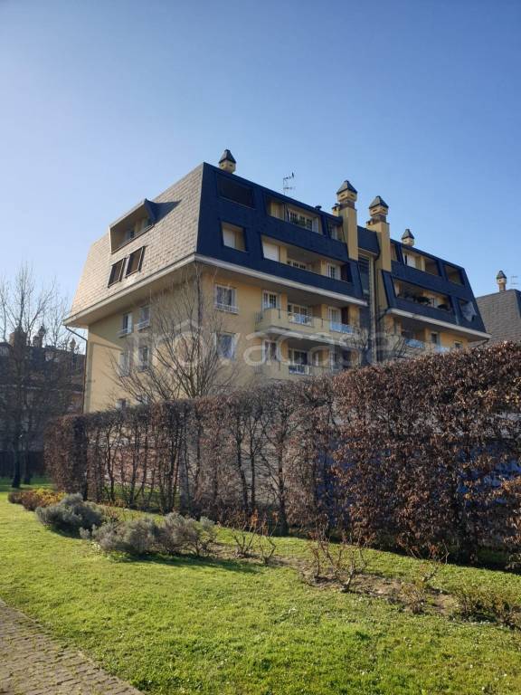 immagine annuncio 3 di 15