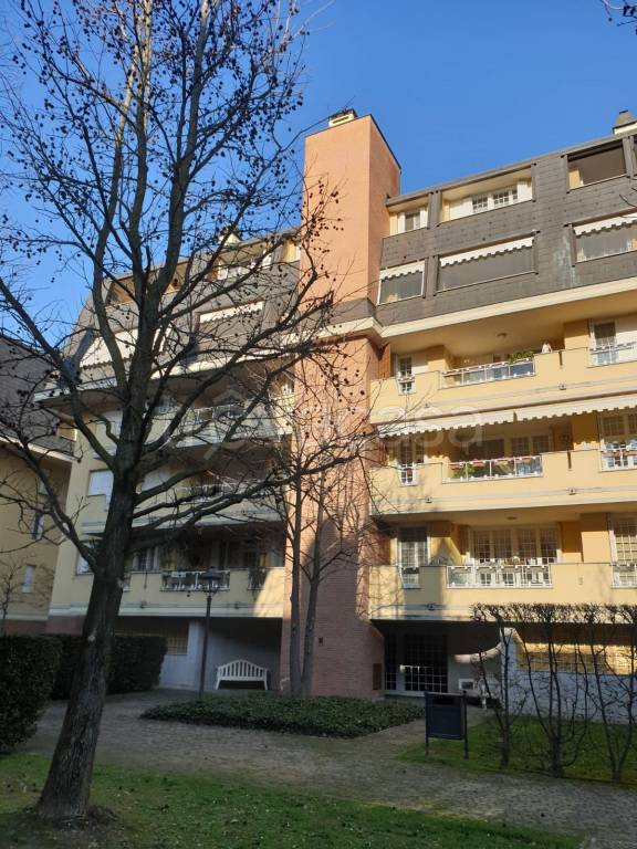 immagine annuncio 3 di 15