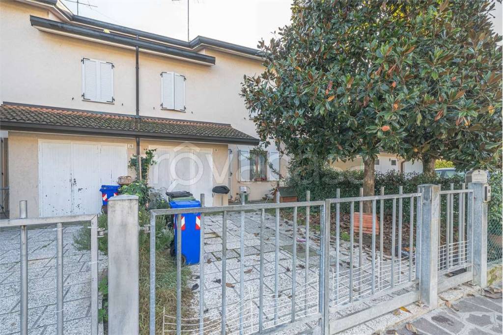 immagine annuncio 5 di 15