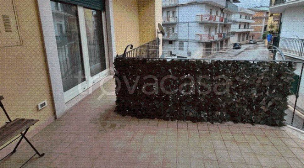 immagine annuncio 3 di 12