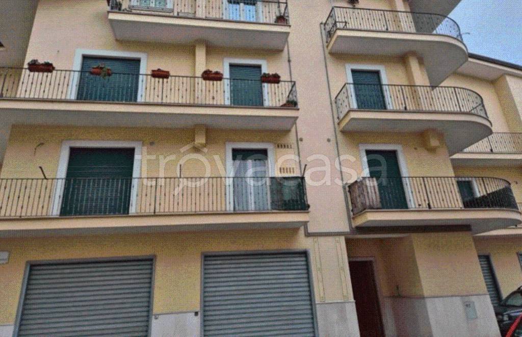 immagine annuncio 11 di 12