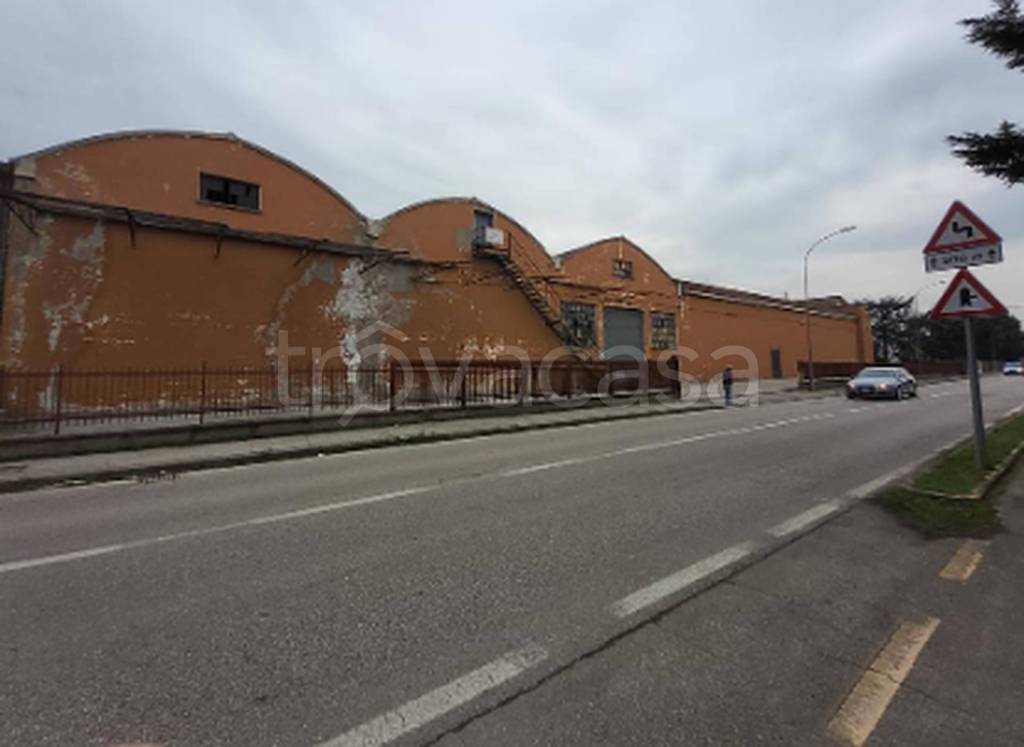 immagine annuncio 2 di 12