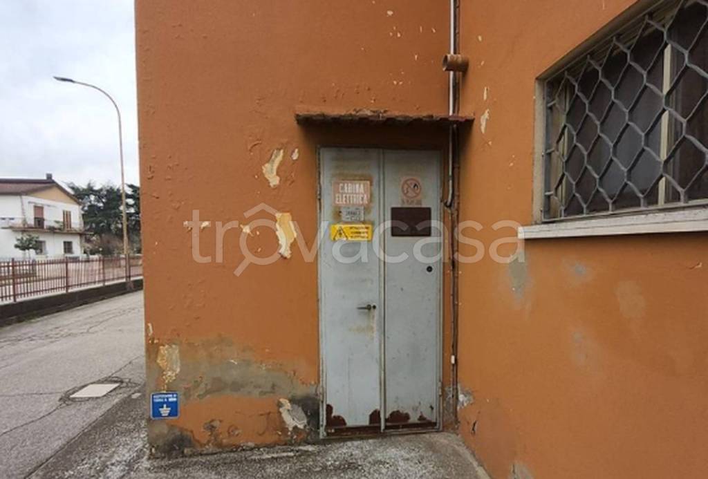 immagine annuncio 5 di 10