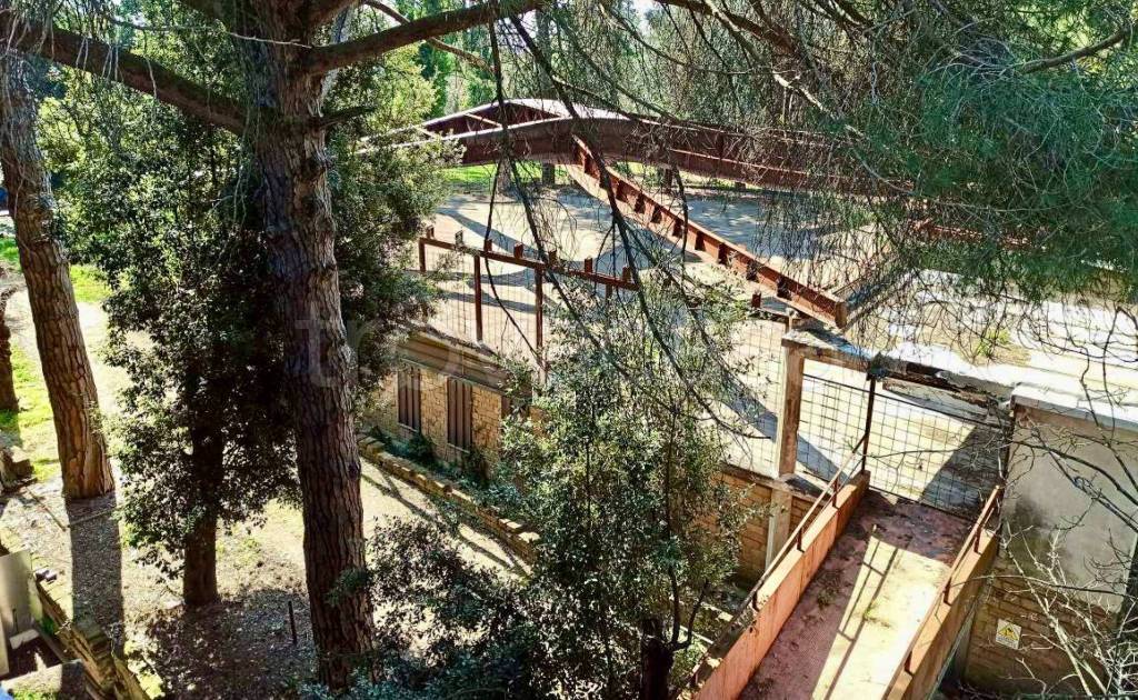 immagine annuncio 11 di 14