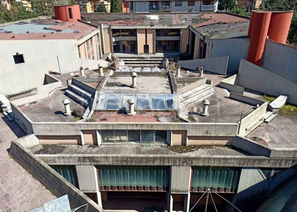 immagine annuncio 12 di 14