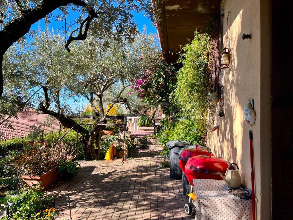 immagine annuncio 9 di 15