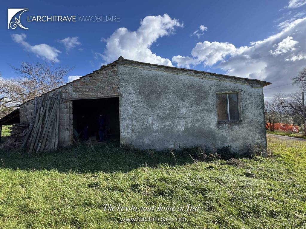 immagine annuncio 4 di 15