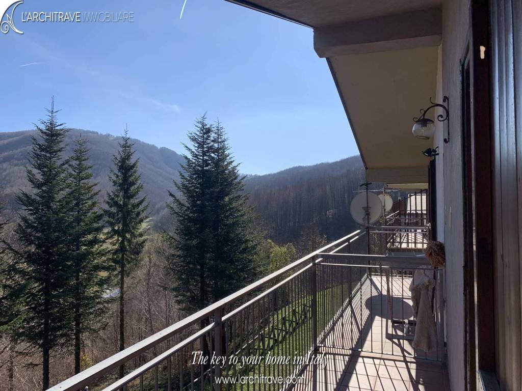 immagine annuncio 11 di 13