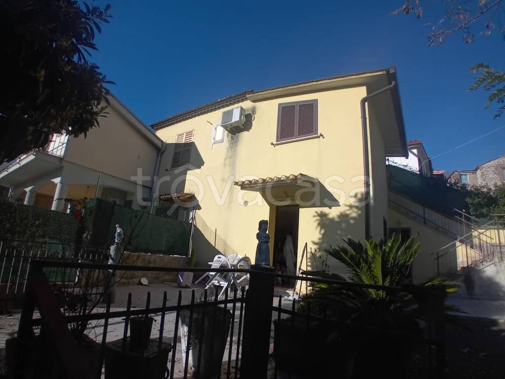 immagine annuncio 2 di 14