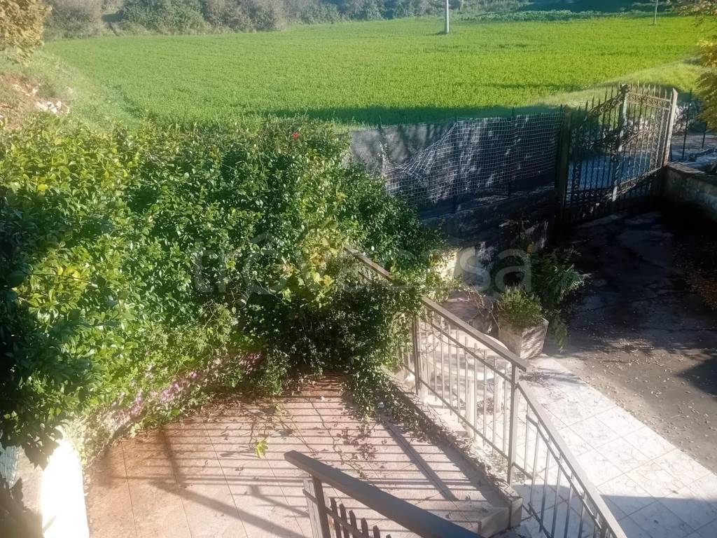 immagine annuncio 10 di 14