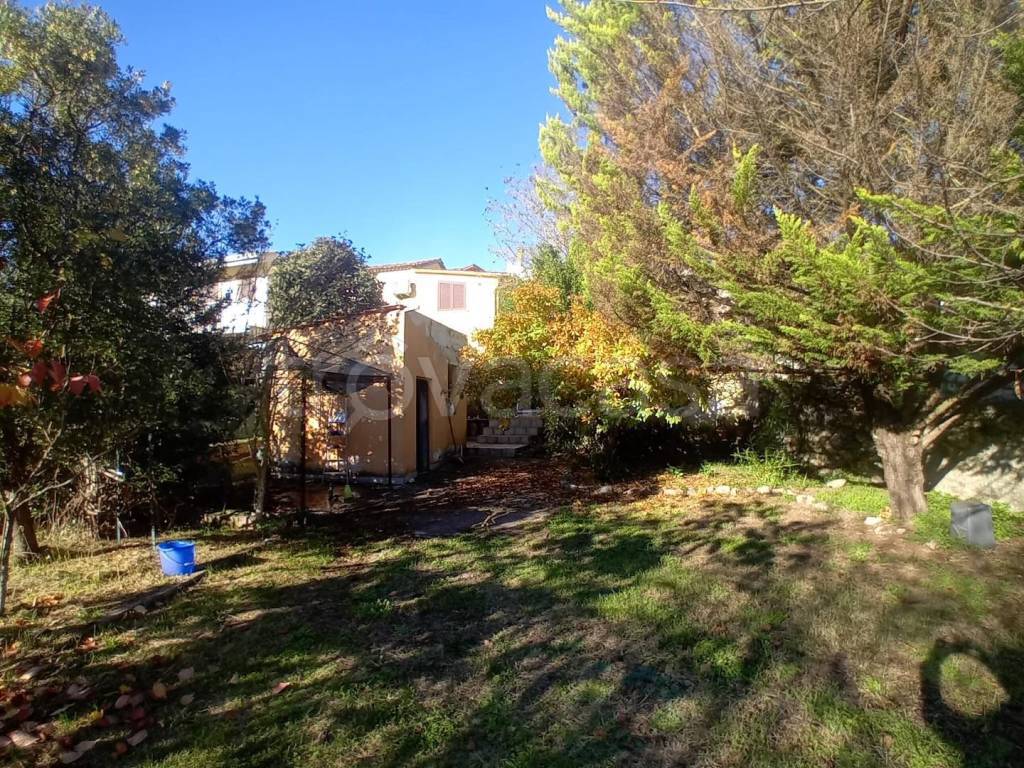 immagine annuncio 12 di 14