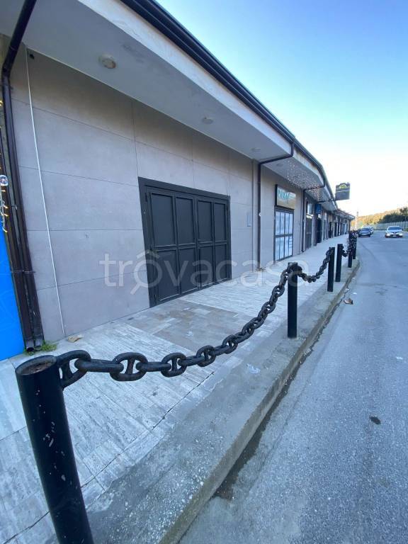 immagine annuncio 5 di 8