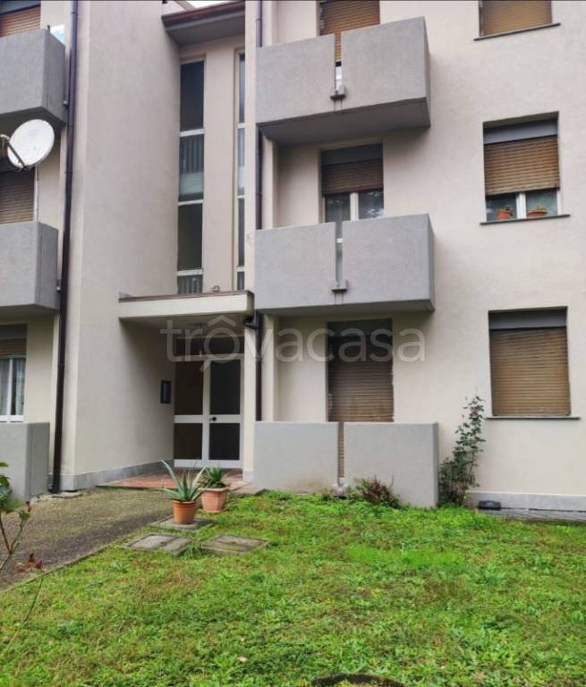 immagine annuncio 2 di 9