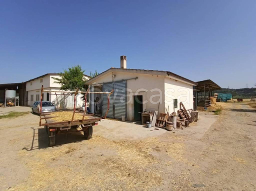 immagine annuncio 8 di 11