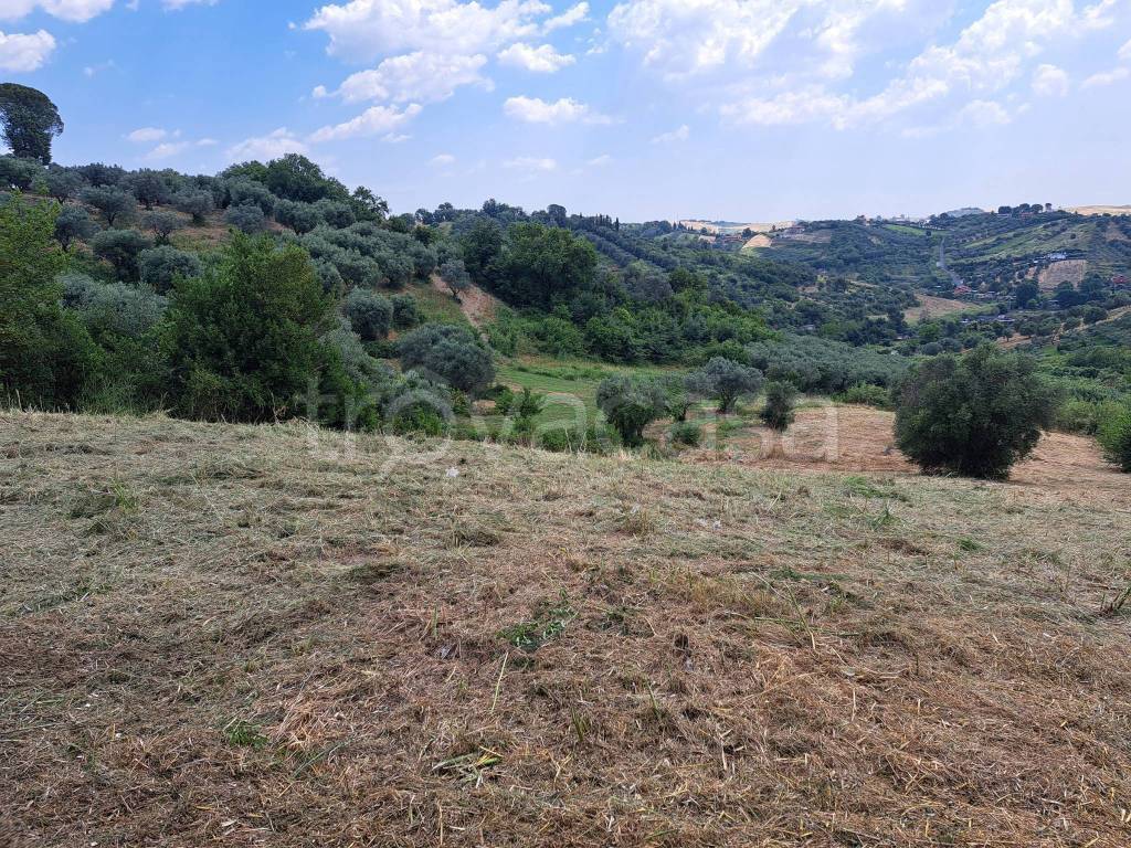 immagine annuncio 1 di 4