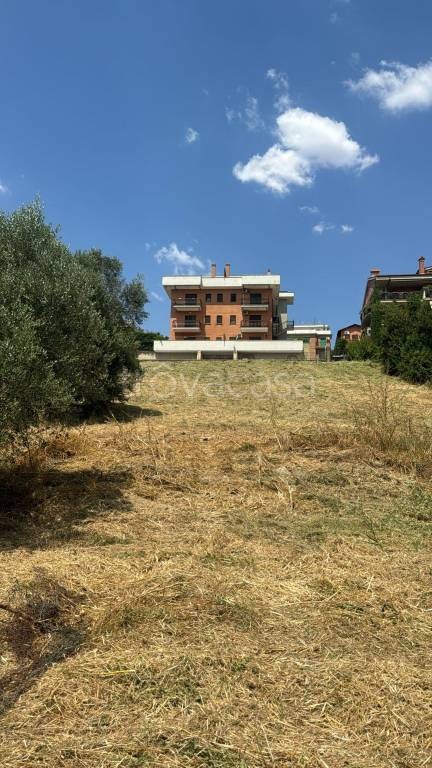 immagine annuncio 3 di 4