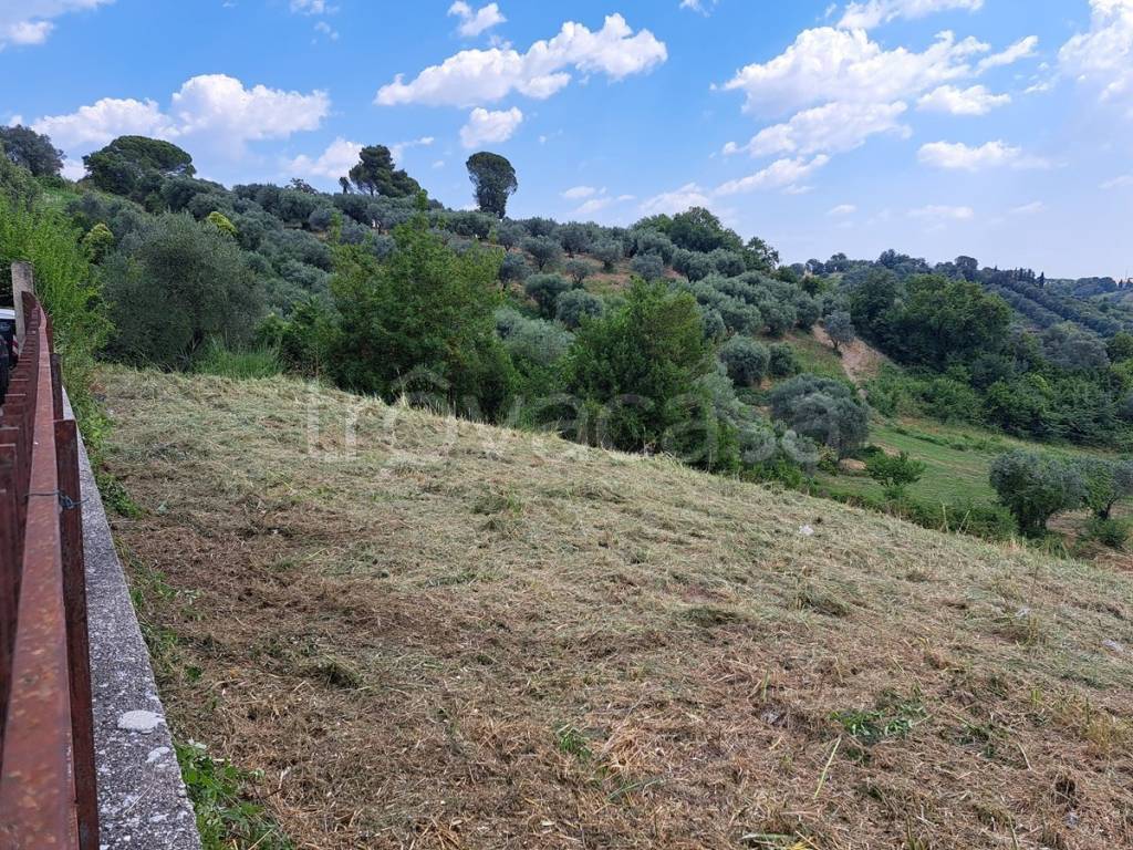 immagine annuncio 2 di 4