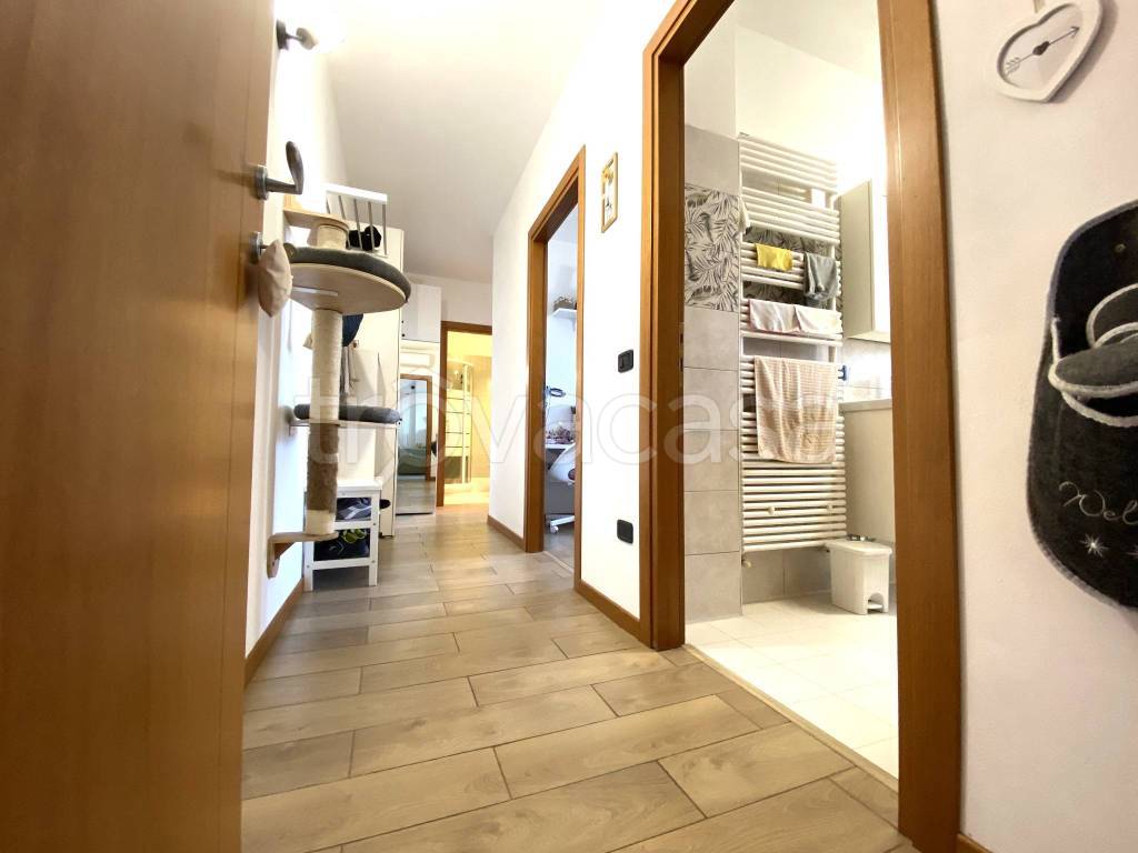 immagine annuncio 6 di 7