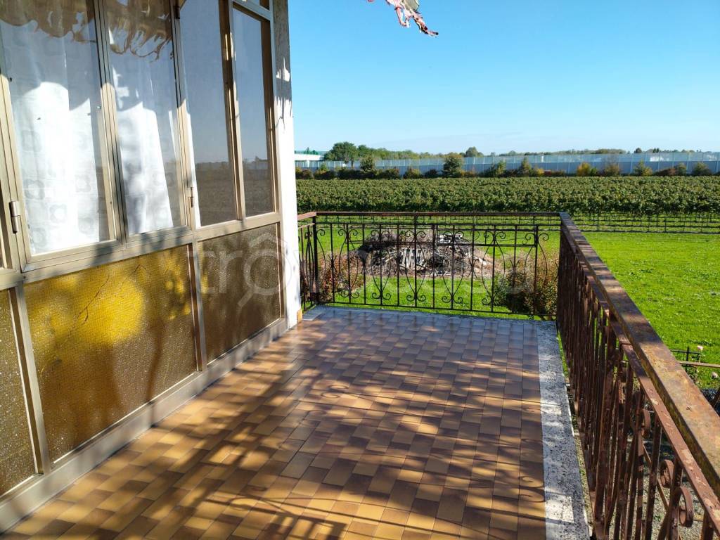 immagine annuncio 12 di 13