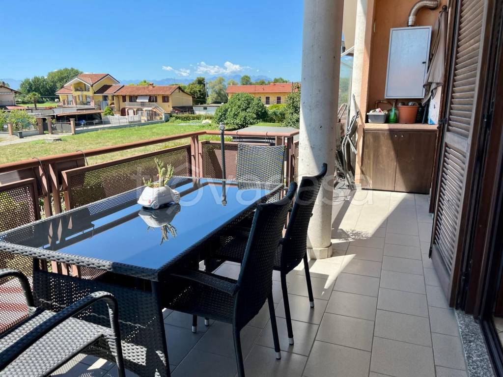 immagine annuncio 12 di 15