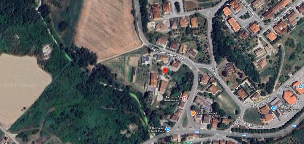 immagine annuncio 10 di 12