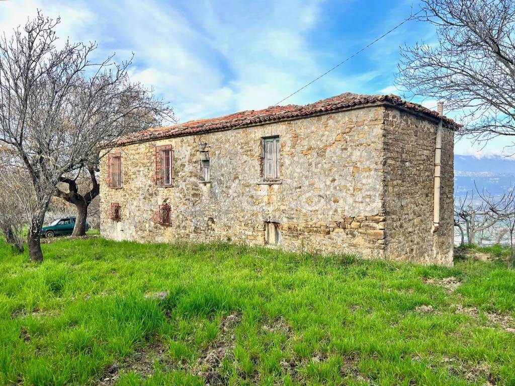 immagine annuncio 2 di 14